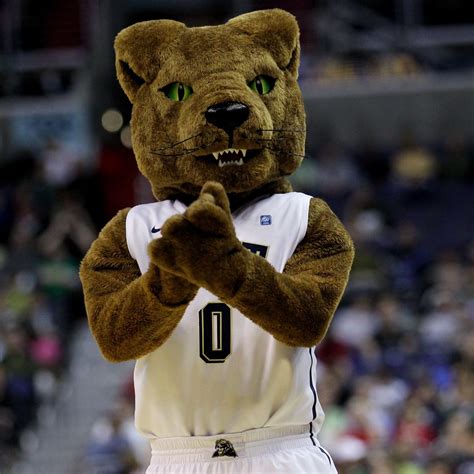 Colleges with jaguar mascot